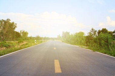 Kırsal kesimde beton yol yol boyunca güzel yeşil pirinç alan vardır. Ve sabah güneş ışığı.