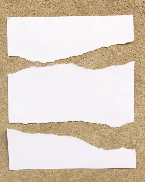 Beyaz kağıt şablonu için bir kat arka plan üzerinde metin parçaları. Tasarım mock-up