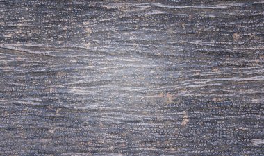 Ağaç kabuğunun doğal arkaplan olarak kullanımı. 