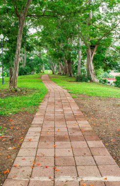 blok taş yürüyüş yolu Park
