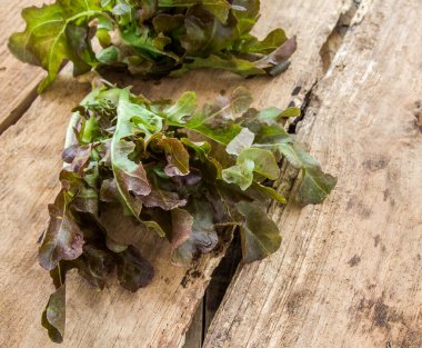 Koyu ahşap arka plan üzerinde taze marul yaprakları