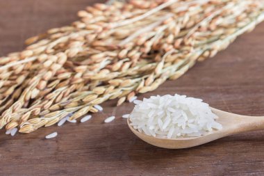 Yakın buğday veya çeltik pirinç kopya alanı ahşap tablo