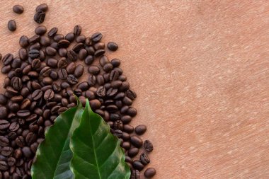 Kahve çekirdekleri ve taze yaprak yeşil grunge kopya alanı ahşap zemin üzerine kapatın