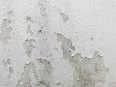 Kirli ve beyaz çimento ya da beton duvar arkaplanı ve dokusu kiralıyor. herhangi bir tasarım için boşluk