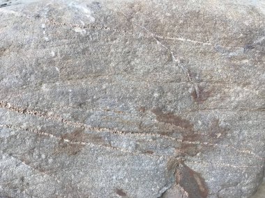 Kirli ve beyaz çimento ya da beton duvar arkaplanı ve dokusu kiralıyor. herhangi bir tasarım için boşluk.