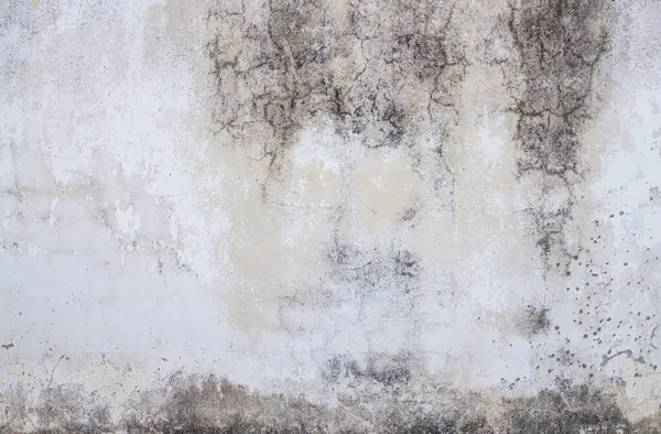 Merhaba res eski grunge doku ve arka planlar