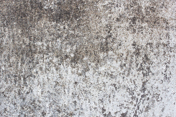 Cement or Concrete wall texture and background for any design