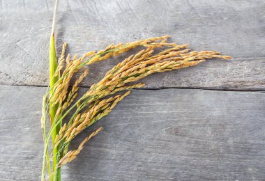 Bir kahverengi ahşap masa arka plan üzerinde spike