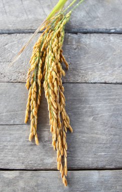 Bir kahverengi ahşap masa arka plan üzerinde spike