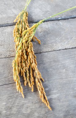 Bir kahverengi ahşap masa arka plan üzerinde spike