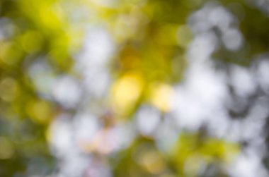 Yeşil bokeh doğa arka plan, seçici odak