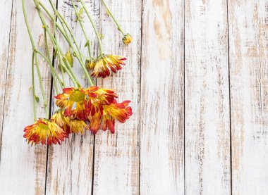 Arka plan beyaz ahşap üzerine taze çiçekler masa