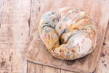 Yeşil ve beyaz sporlar küflü ekmek üzerinde hızla büyüyor