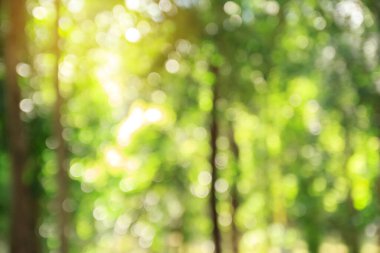 Yeşil bokeh arka plan ve tasarım için doku ve blackground kullanmak için.