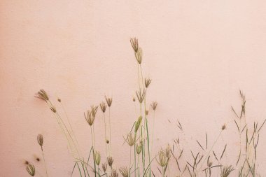 Güzel çimen çiçek duvar arka plan tasarımı için