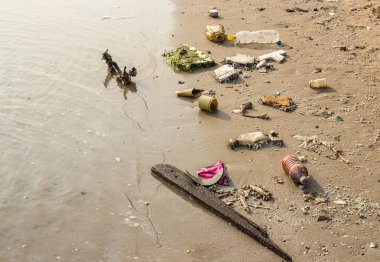 Çöp sahilde. çevre kirliliği kavramı
