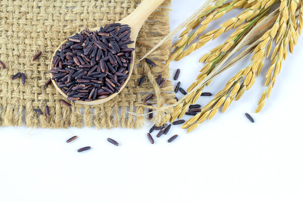Rice berry in wooden spoon on white background. Close up raw purple Rice berry in bowl on a white background