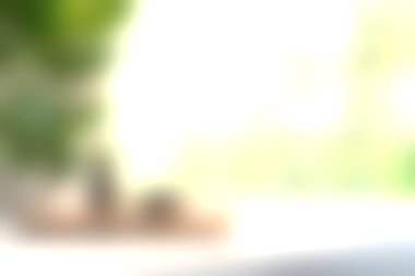 Bereketli bitkilerin ve ahşap bir yüzeyde pürüzsüz taşların bulunduğu, parlak doğal ışıkla aydınlatılmış, refah ve rahatlama için ideal, sakin bir iç mekan sahnesi..