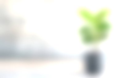 Gri bir tencerede canlı yeşil bir bitki, ahşap bir yüzeyde duruyor ve sakin bir atmosfer yaratıyor. Modern dekor için mükemmel. Bu resim doğal güzellik ve sükunet sergiliyor..