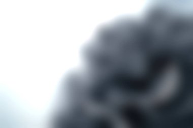 Bu zarif siyah ve beyaz çiçek tasarımı, çeşitli sanatsal uygulamalar için ideal sakin ve modern bir görsel deneyim yaratan yumuşak akıcı yapraklar ve kıvrımlar sergiliyor..