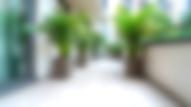 Sakin ve modern bir yürüyüş yolu yemyeşil bir ortam sunarak kentsel bir ortamda ferahlatıcı bir atmosfer yaratıyor. Rahatlama ve keşif için ideal..