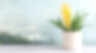 Yumuşak odaklı bir görüntü, saksıda sarı bir çiçeği, açık mavi bir arka planda sergiliyor. Ev dekorasyonundaki sükunet ve güzellik temaları için mükemmel..