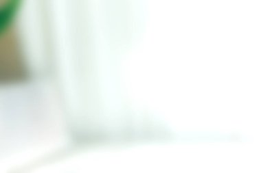 Yumuşak odaklı arka planda yeşil bir bitki yaprağıyla gösterilen, doğal ışıkla aydınlatılan sakin bir iç mekan sahnesi. Huzuru ve modern estetiği aktarmak için mükemmel..