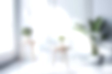 Huzurlu ve parlak bir oturma odası. Minimalist dekorlar ve kapalı bitkilerle dolu. Yumuşak doğal ışıkla samimi ve davetkar bir atmosfer yaratıyor..