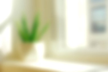 Parlak ve sakin iç mekan güneşli bir pencerenin yanında yeşil bir bitki sergiliyor, rahatlatıcı bir atmosfer yaratıyor rahatlama ve ilham için mükemmel..