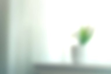 Minimalist bir vazodaki beyaz çiçeklerin parlak bir arka planda durgun bir atmosfer yaratarak ev dekorasyonu için mükemmel bir ortam oluşturduğu yumuşak odaklı bir görüntü..