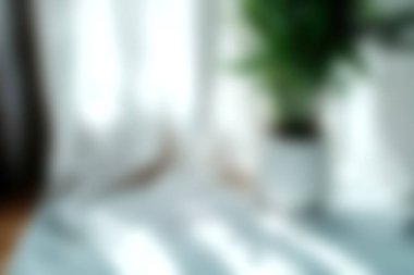 Saf perdelerin arasından süzülen yumuşak ışığın huzurlu atmosferi artıran canlı bir bitki tarafından tamamlandığı sakin ve rahat bir iç mekan sahnesi..