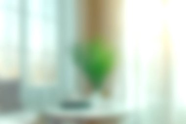 Yumuşak bulanık bir görüntü iyi ışıklandırılmış bir odada yeşil bir bitki sergiliyor, sükuneti ve modern dekoru vurguluyor. Doğa ve rahatlama temaları için mükemmel..