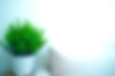 Bu resim, yumuşak odaklı arka plan üzerine kurulmuş, minimalist iç dekorasyon temaları için mükemmel beyaz bir saksıda canlı yeşil bir bitki barındırıyor..