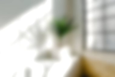 Parlak ve davetkar bir iç mekan. Pencereye doğal ışık yansıyan yeşil bir bitki, rahat ortama sükunet katıyor..