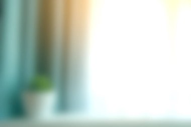 Pencerenin kenarındaki saksı bitkisinin yumuşak bir odak noktası. Nazik doğal ışıkla yıkanmış. Herhangi bir ev ortamında huzurlu bir atmosfer yaratıyor..