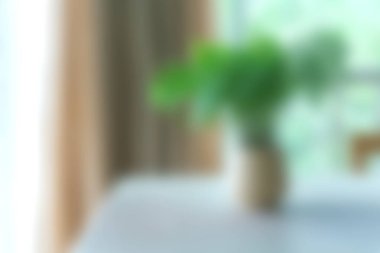 Vazodaki yeşil bir bitki üzerine yumuşak bir odak içeren sakin bir görüntü, yakındaki bir pencereden gelen doğal ışıkla aydınlatılmış, sakin bir atmosfer yaratıyor..