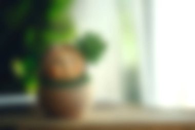 Bu görüntü, parlak pencere ışığıyla aydınlatılan, sakin ve rahatlatıcı bir atmosfer yaratan saksıdaki bir bitkinin yumuşak odak açısını yansıtır. Doğa temaları için mükemmel.