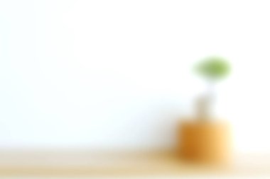 Ahşap bir zeminde, yumuşak beyaz bir arka plana karşı modern bir tencerede yeşil bir bitki barındıran sakin ve minimalist bir kompozisyon. Dekor için mükemmel..