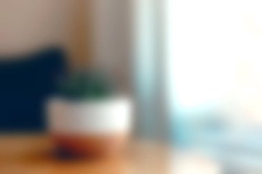 Beyaz bir tencerede, yumuşak doğal ışıkla yıkanmış, ahşap bir masada oturan, güzel, sulu bir bitki. Ev dekorunu geliştirmek için mükemmel.