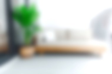 Yumuşak doğal ışıkla dolu sakin bir oturma odası, rahat bir kanepe, şık yeşil kapalı bir bitki eşliğinde, huzurlu bir atmosfer yaratıyor..