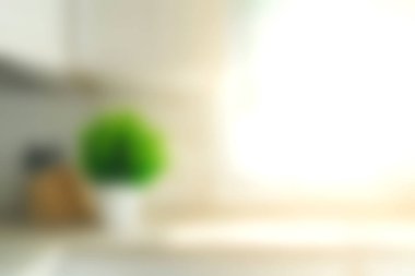 Huzurlu bir mutfak sahnesi, yumuşak bulanık bir arka plan ve canlı yeşil bir bitki. Sıcak doğal ışık, ev dekorasyonu fikirleri için mükemmel bir ortam yaratıyor..