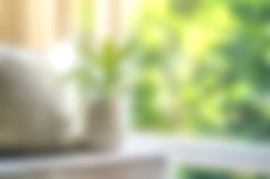 Yumuşak odaklı bir bitkinin doğal ışığın tadını çıkardığı sakin bir iç mekan sahnesi. Bulanık arka plan rahatlatıcı bir atmosfer yaratıyor rahatlık ve rahatlık için mükemmel..