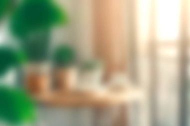 Modern bir evin sükunetini ve estetiğini arttıran çeşitli bitkilerin yer aldığı parlak ve rahat bir yer. Dekor için mükemmel..