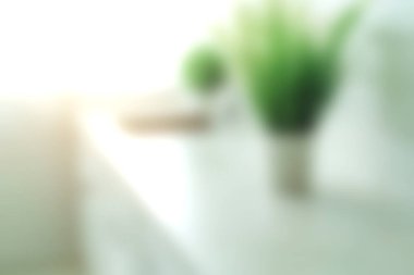 İç mekan bitkilerinin sakin ve bulanık görüntüsü minimalist bir alanda, yumuşak güneş ışığıyla yıkanmış, ev dekorasyonu için yeni ve rahatlatıcı bir atmosfer sergiliyor..