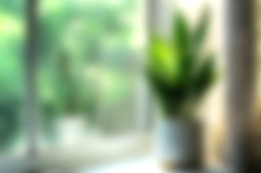 Işıl ışıl parlayan bir pencerenin yanında, canlı yeşilliklerle zenginleştirilmiş sakin bir atmosfer yaratan kapalı bir bitki içeren yumuşak bir odak görüntüsü. Doğa temalı projeler için mükemmel.