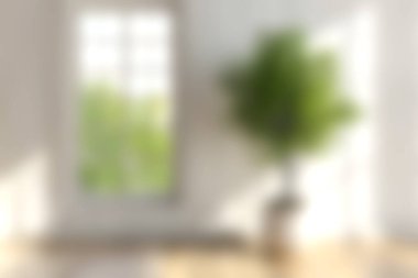 Bu görüntü, doğal ışık ve yemyeşil bitkilerle dolu, dingin ve davetkar bir atmosfer yaratarak rahatlama ve rahatlama için parlak bir kapalı alan içeriyor..