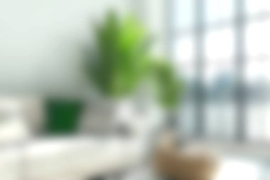 Parlak ve cezbedici, doğal ışıkla dolu, kapalı bir bitki ve şık mobilyalarla dolu modern bir oturma odası. Ev dekorasyonu ilhamı için ideal.