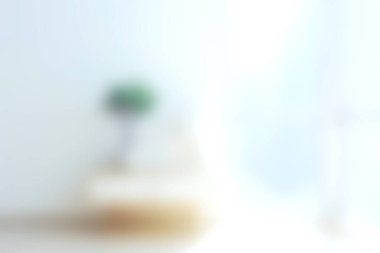 Yumuşak bulanık bir estetik, minimalist bir bitki, doğal ışığı davet eden sakin bir iç mekan ve iç tasarım için mükemmel bir atmosfer..