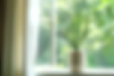 Bir vazonun içindeki bir bitkinin yumuşak odaklı görüntüsü, yakınlardaki bir pencereden gelen doğal ışıkla güzelce aydınlatılmış, sakin bir atmosfer yaratıyor..