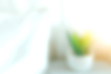 Sükunet ve tazelik hissi uyandırmak için parlak minimalist bir arkaplan üzerine kurulmuş, beyaz bir tencerede canlı yeşil bir bitkinin yumuşak odak görüntüsü..